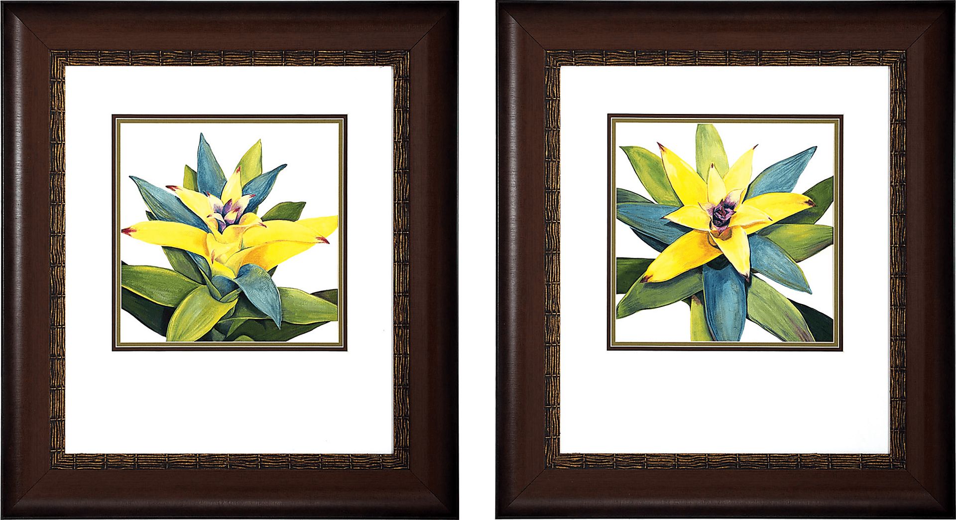 Tropical Bloom Set of 2 Artwork - Image 1