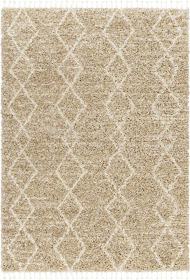 Trovista Beige 5'3 x 7' Area Rug - Thumbnail - Image 1