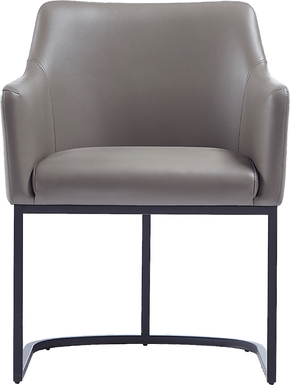 Truche Gray Arm Chair