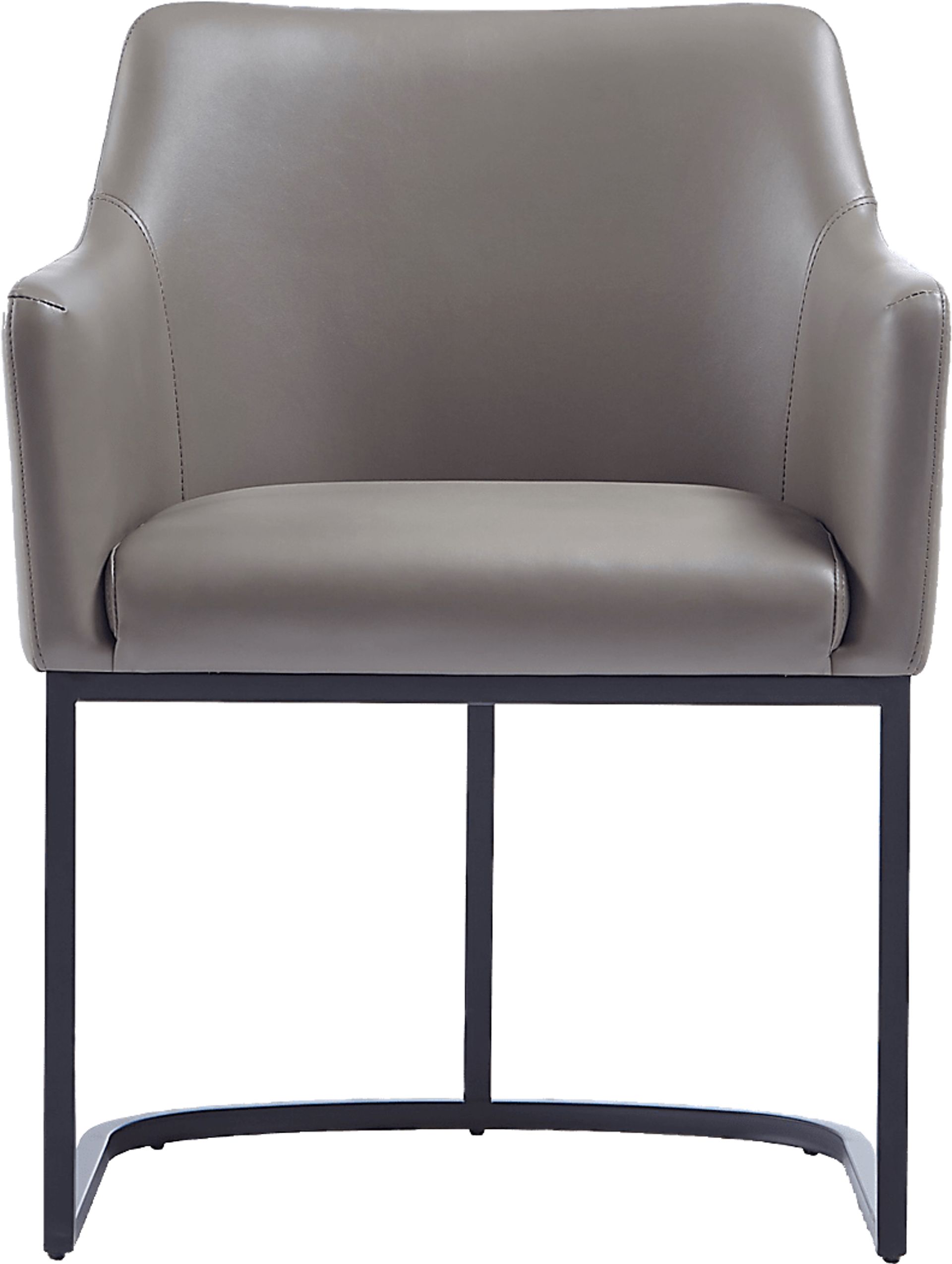 Truche Gray Arm Chair - Image 1