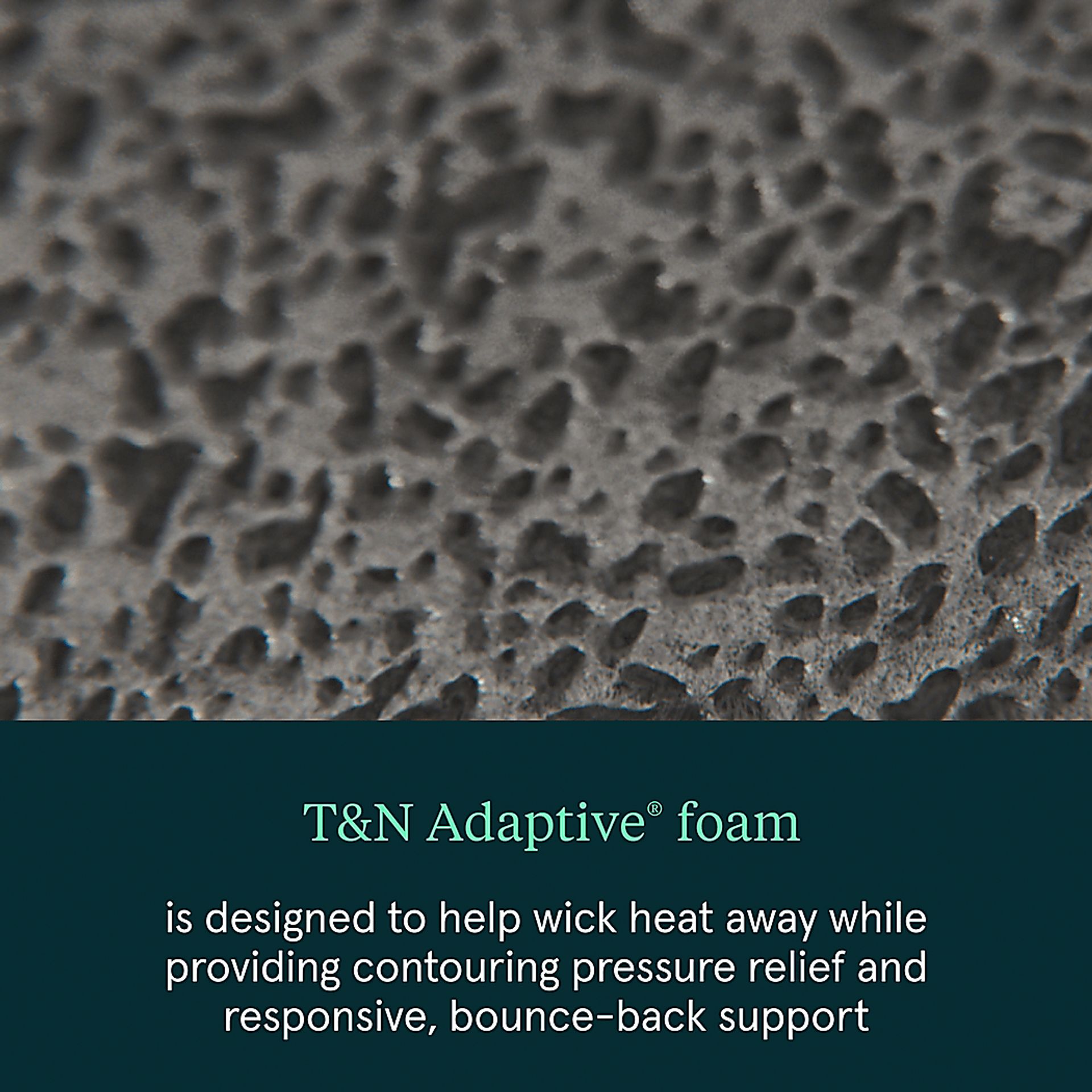 Tuft & Needle Stitch TN5.1 Twin Mattress - Image 5