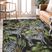 Tuscadora Black 8' x 10' Rug