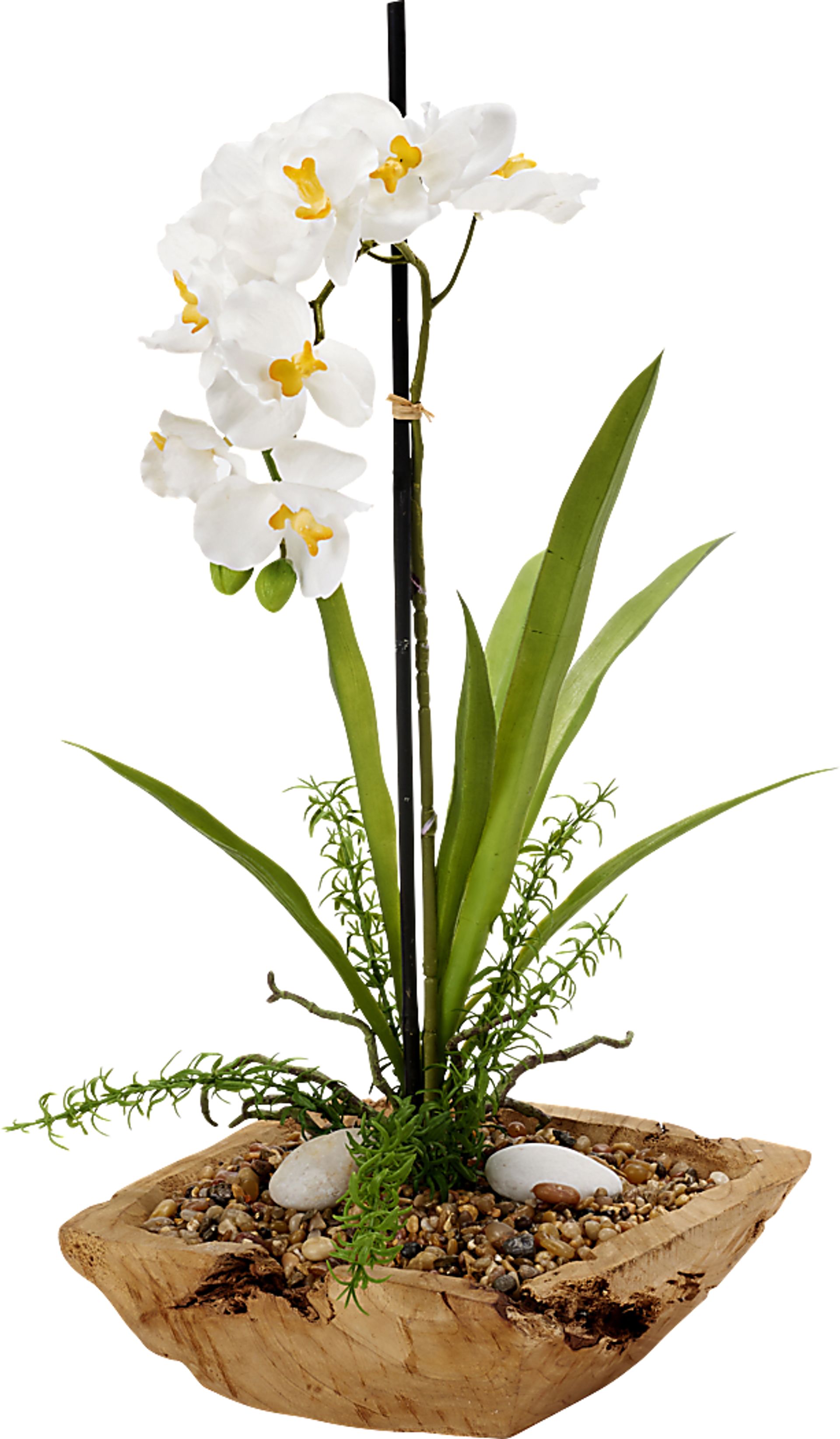 Tyrese White Orchid Silk Flower Arrangement - Image 1