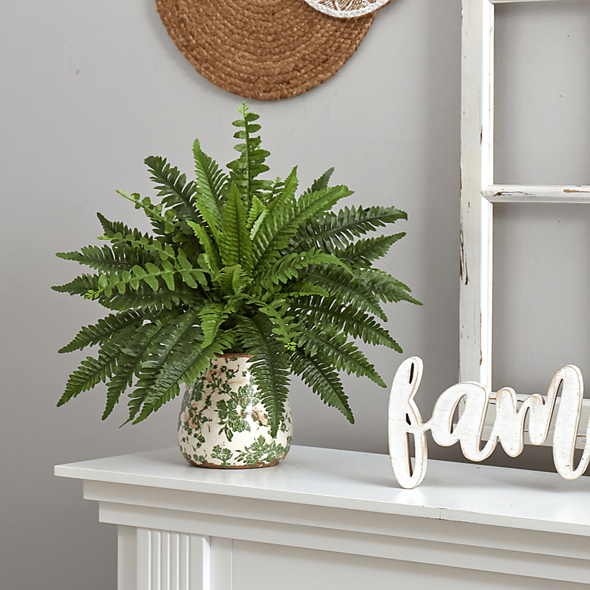 Uccelli Green Plant with Ceramic Planter - Image 3