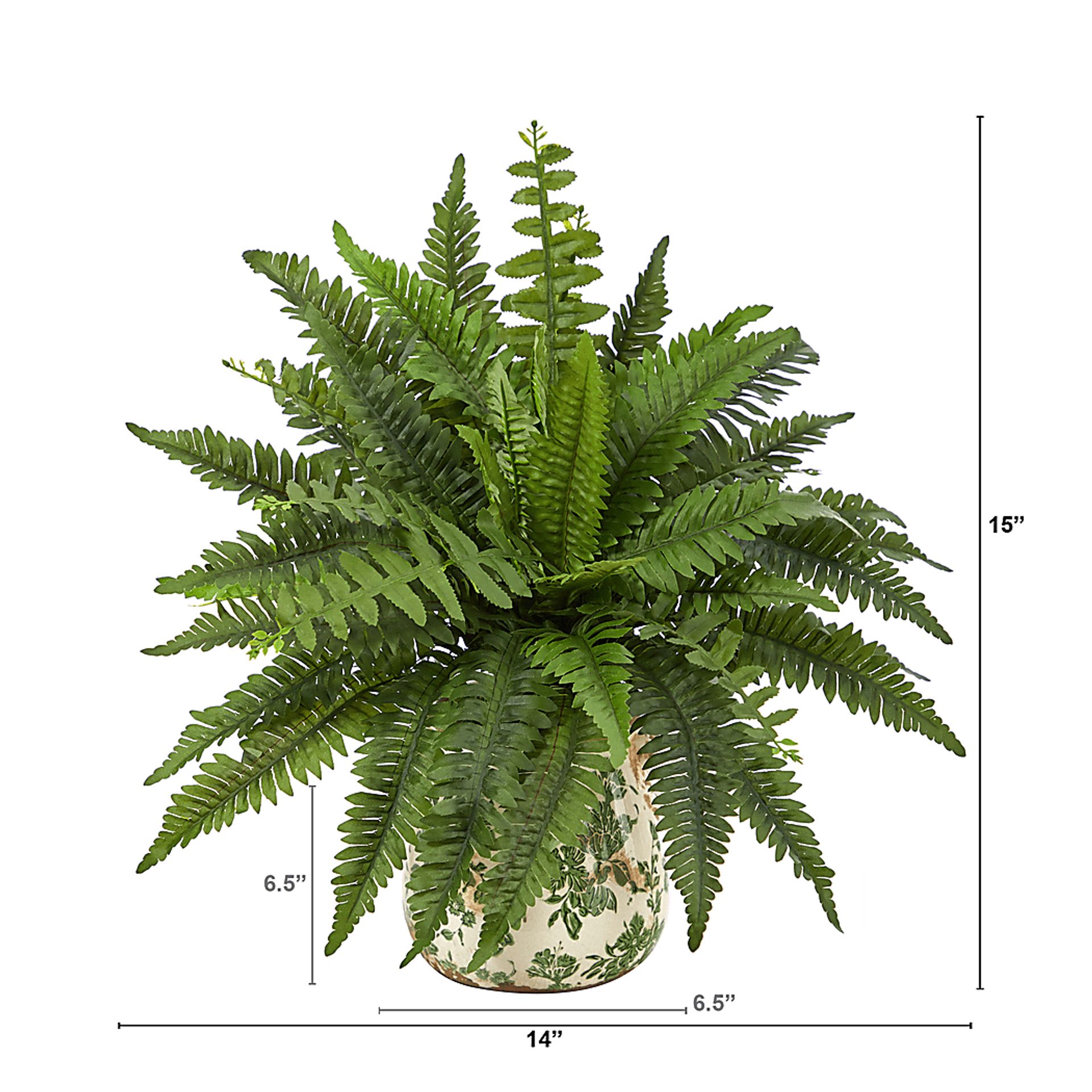 Uccelli Green Plant with Ceramic Planter - Image 4