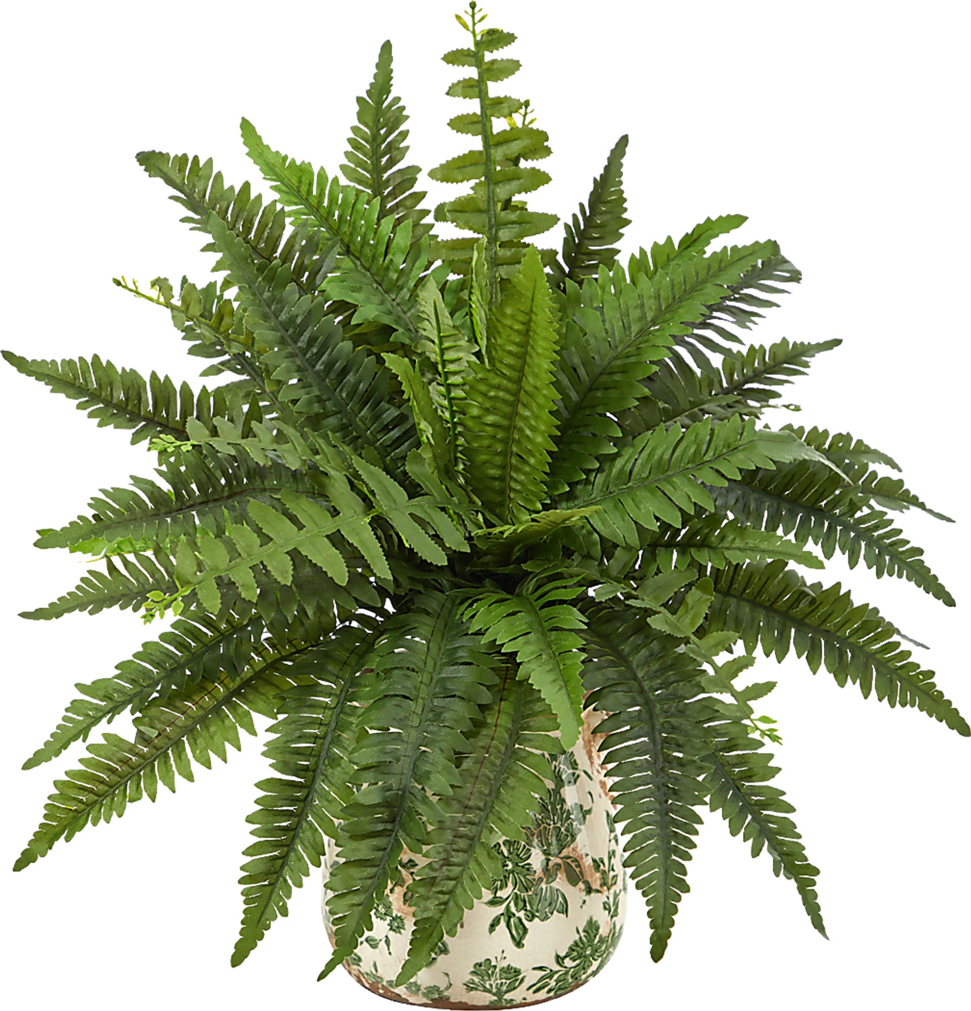 Uccelli Green Plant with Ceramic Planter - Image 1