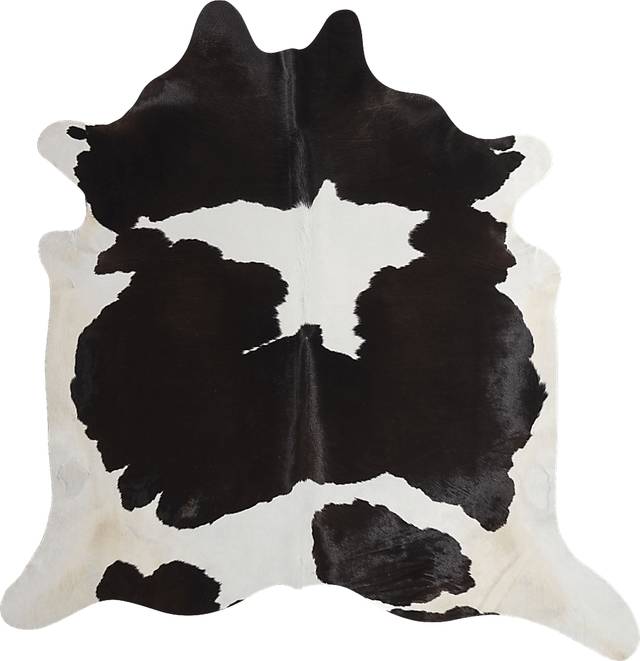 Usama Black 5' x 6'6 Rug - Thumbnail - Image 1