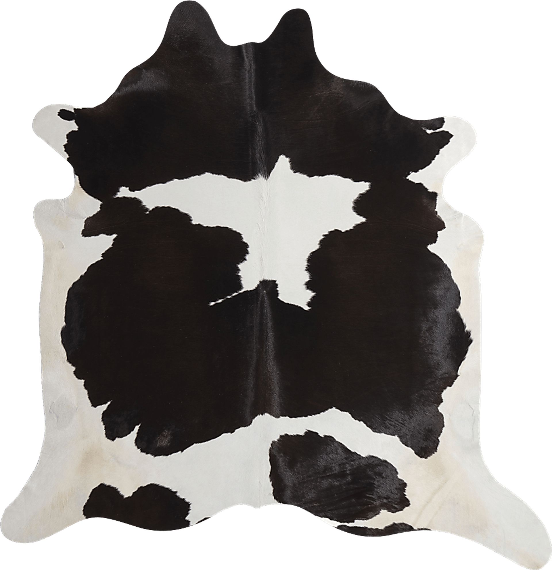 Usama Black 5' x 6'6 Rug - Image 1