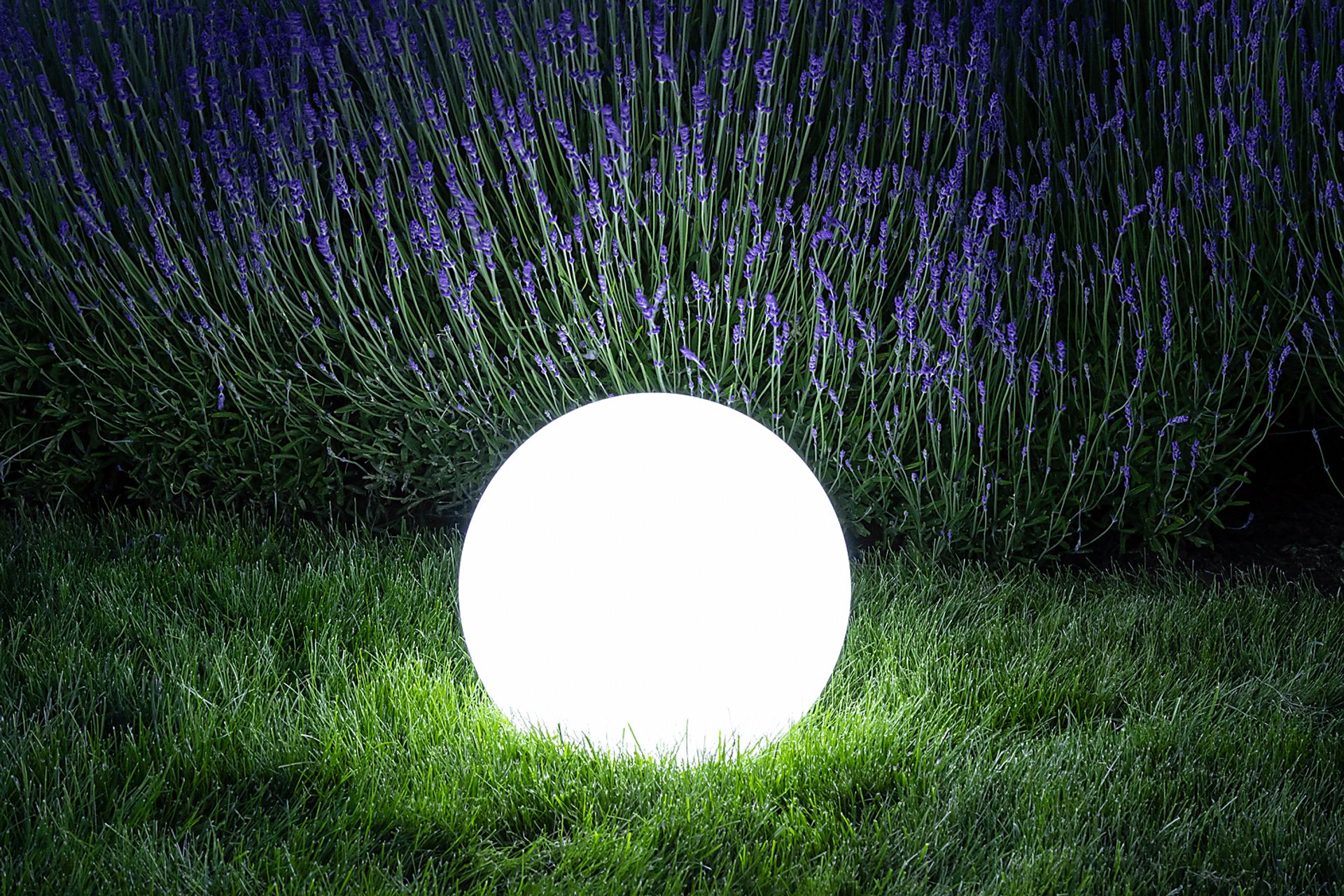 Uvari Way Indoor/Outdoor White Rechargeable Lantern - Image 4
