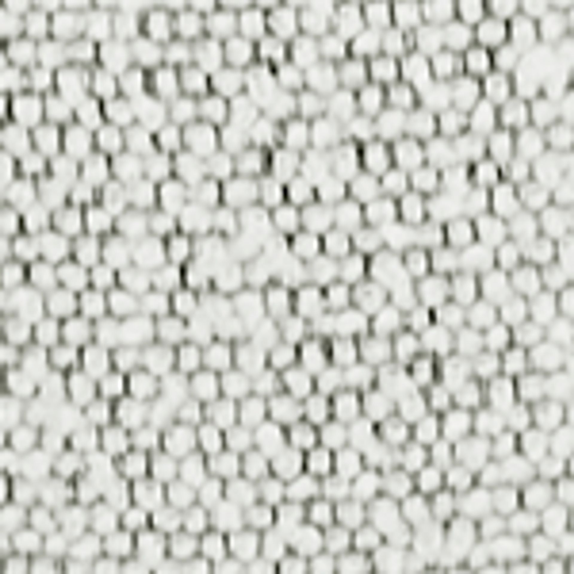 Cotton