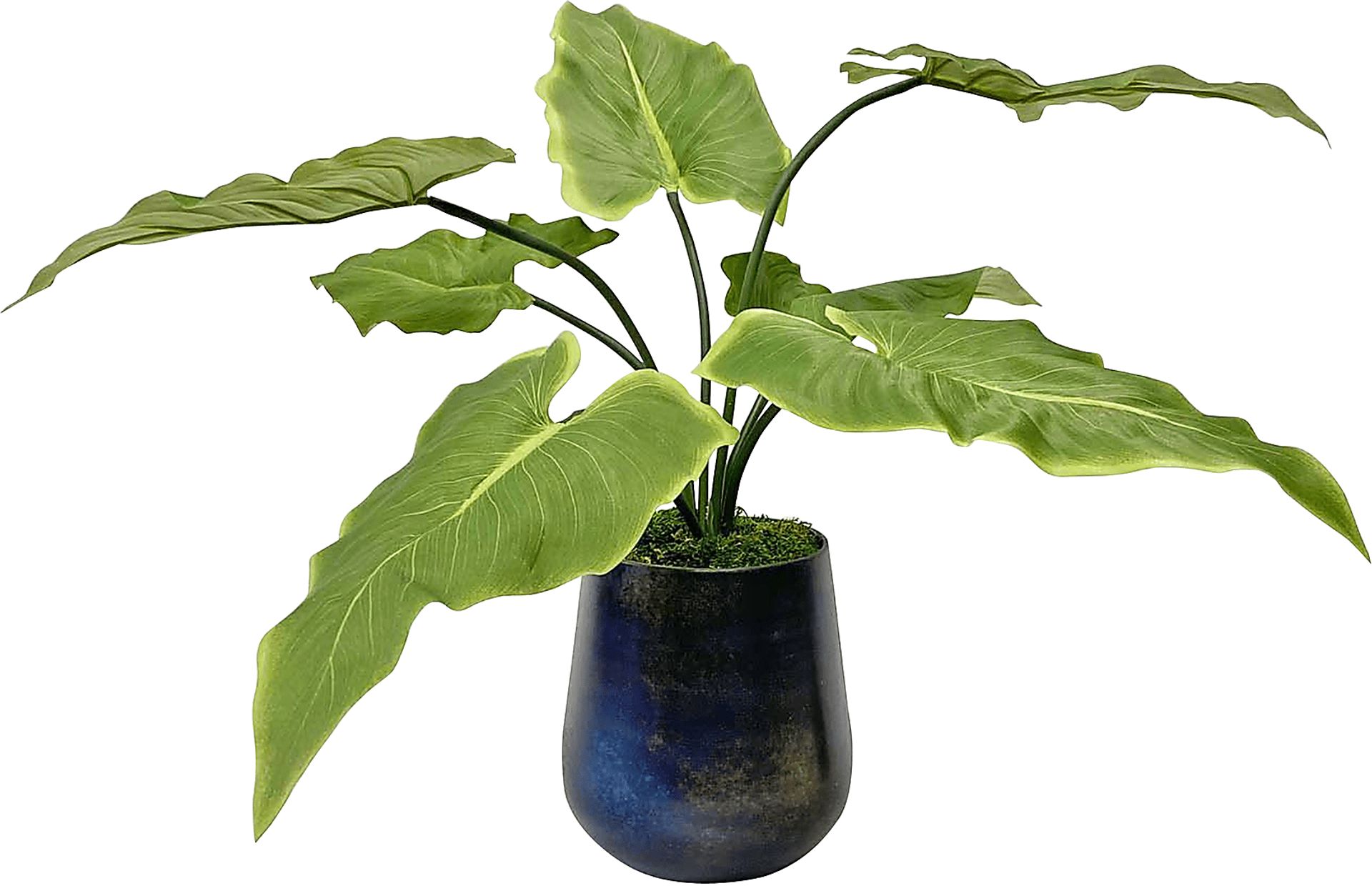 Vanisia Blue Decorative Planter - Image 2