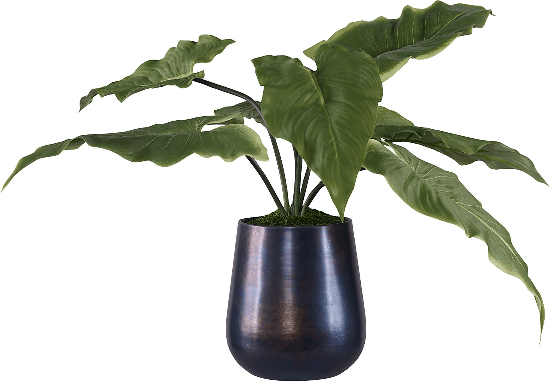 Vanisia Blue Decorative Planter - Image 1