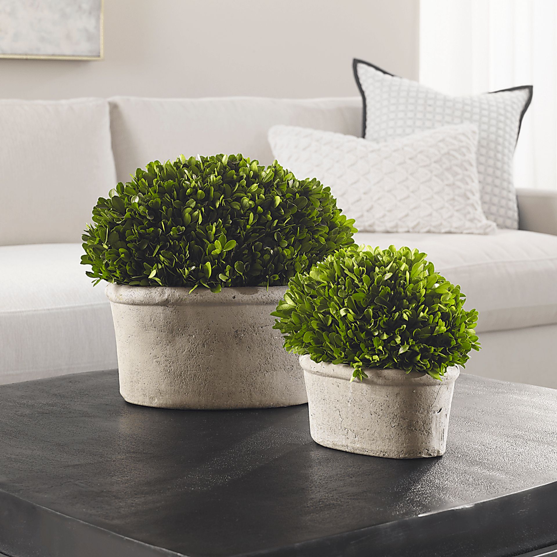 Venicia Tan Planter, Set of 2 - Image 2