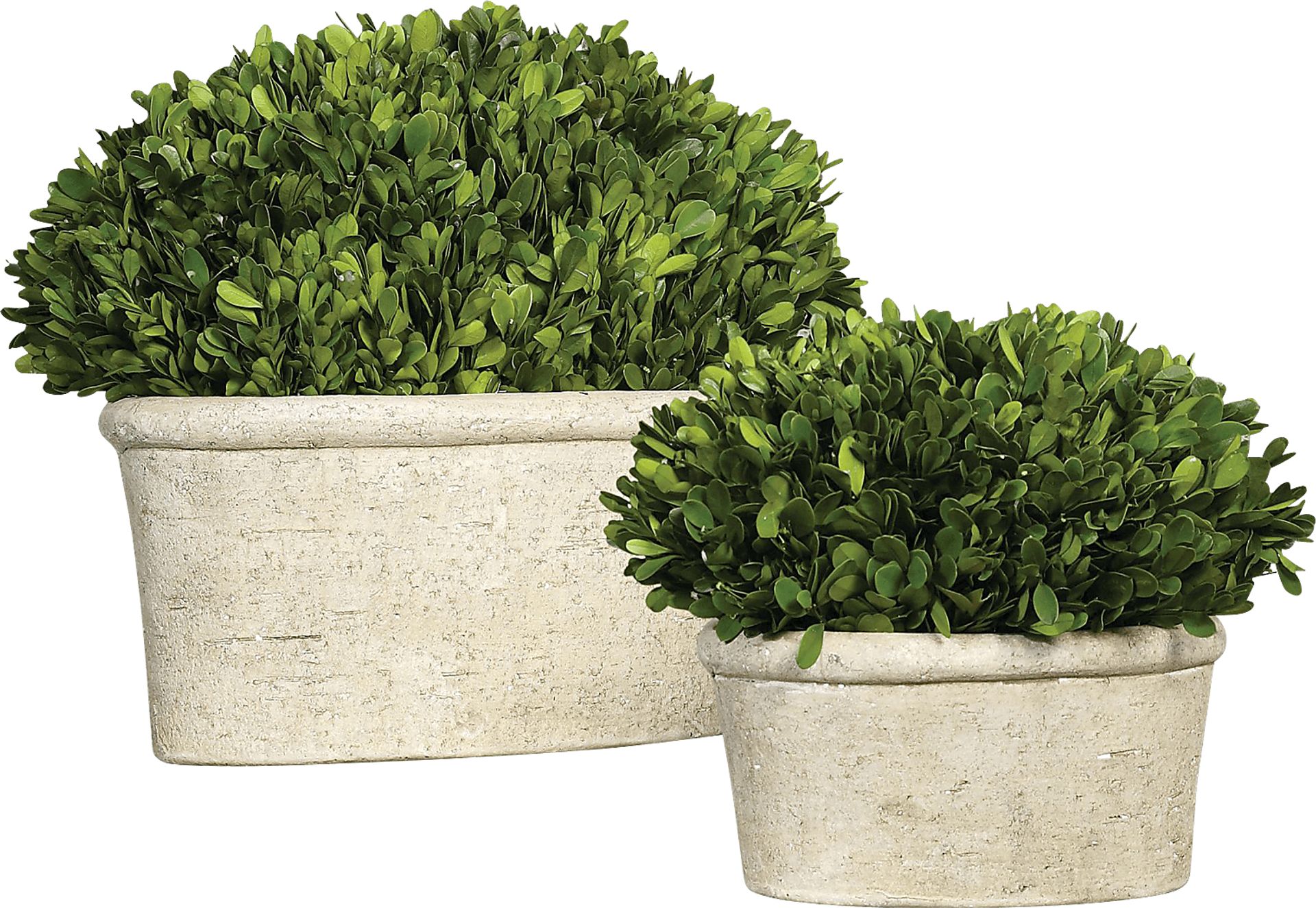 Venicia Tan Planter, Set of 2 - Image 1
