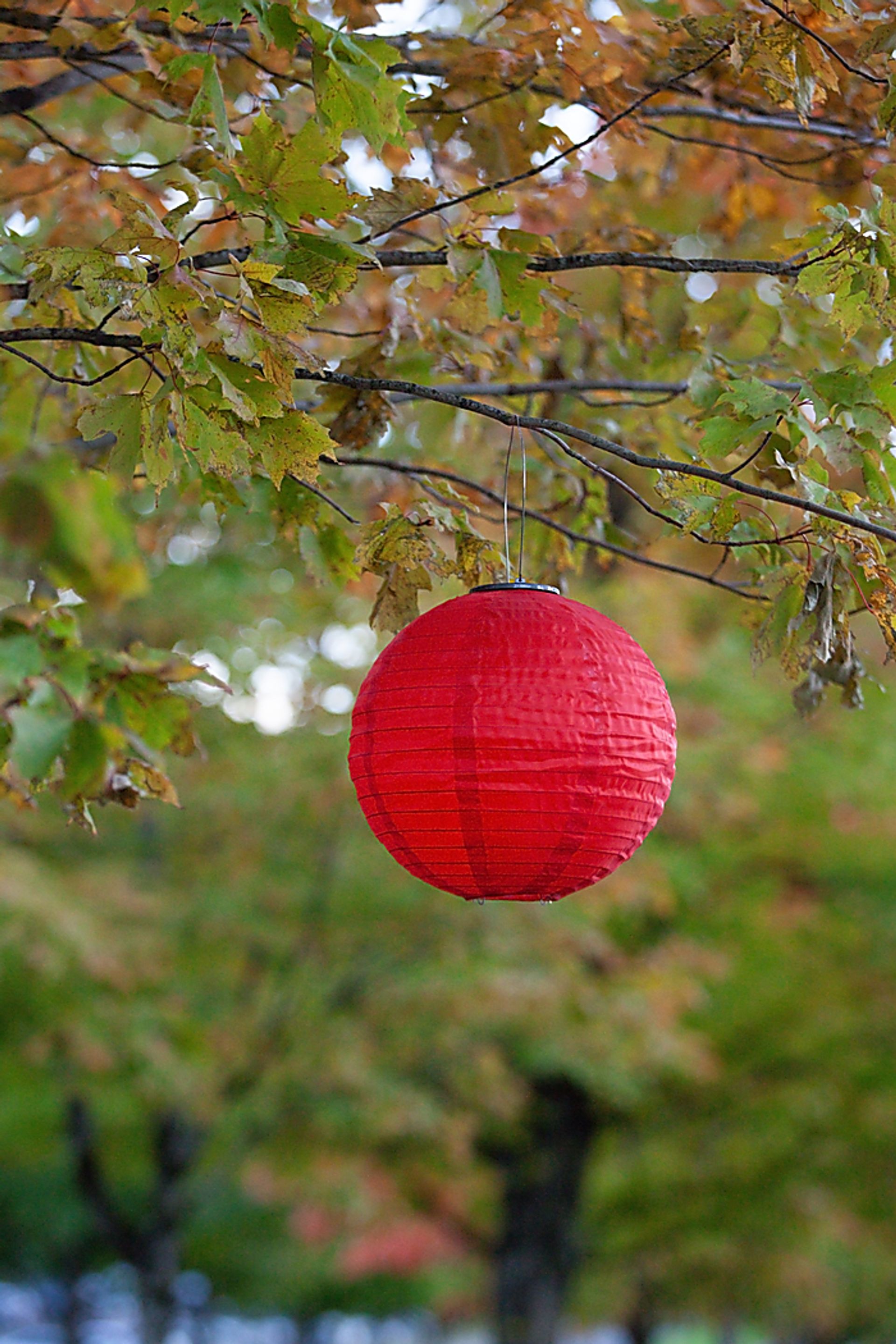 Vense Island Outdoor Red Solar Lantern - Image 3