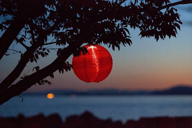 Vense Island Outdoor Red Solar Lantern - Thumbnail - Image 4