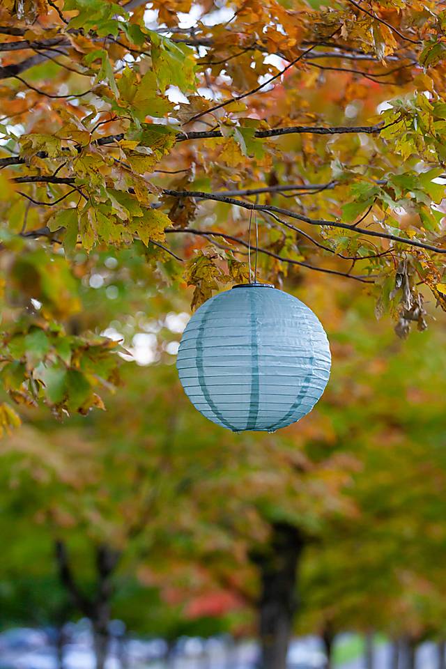 Vense Island Outdoor Sage Solar Lantern - Thumbnail - Image 3