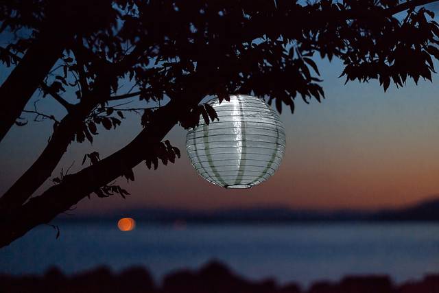 Vense Island Outdoor Sage Solar Lantern - Thumbnail - Image 4