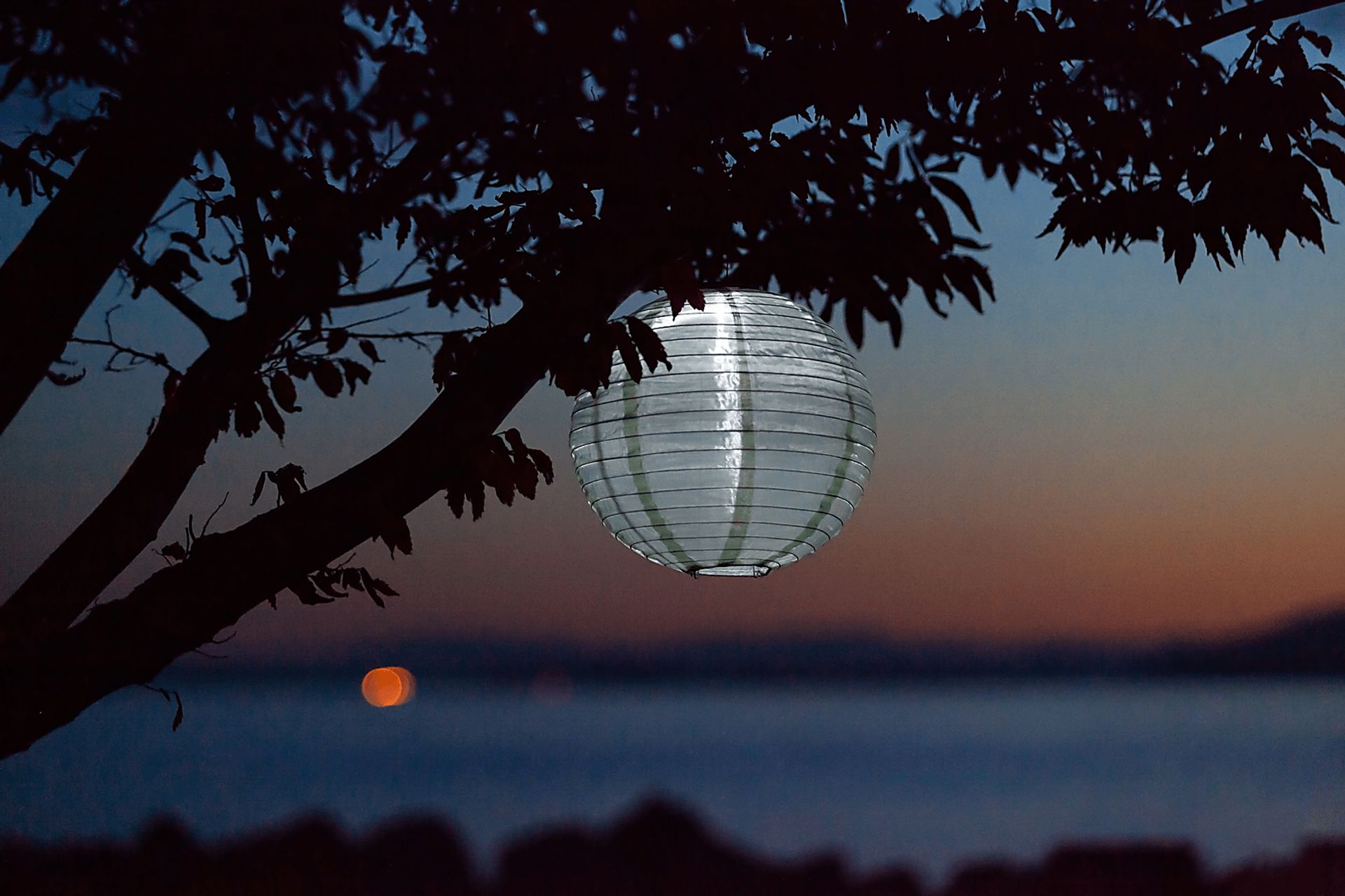 Vense Island Outdoor Sage Solar Lantern - Image 4