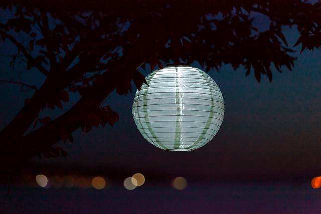 Vense Island Outdoor Sage Solar Lantern - Thumbnail - Image 5