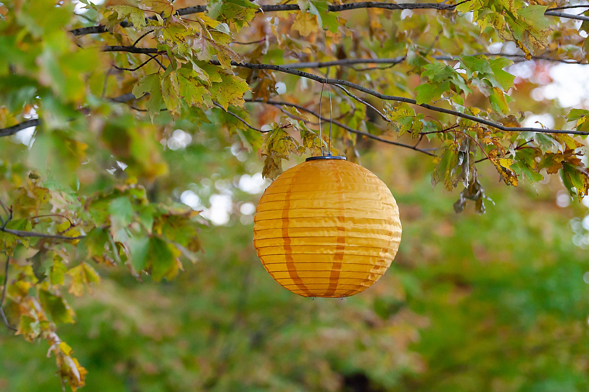Vense Island Outdoor Yellow Solar Lantern - Image 2