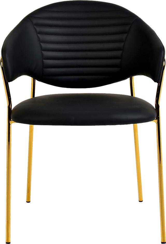 Ventris Black Arm Chair, Set of 2 - Thumbnail - Image 3