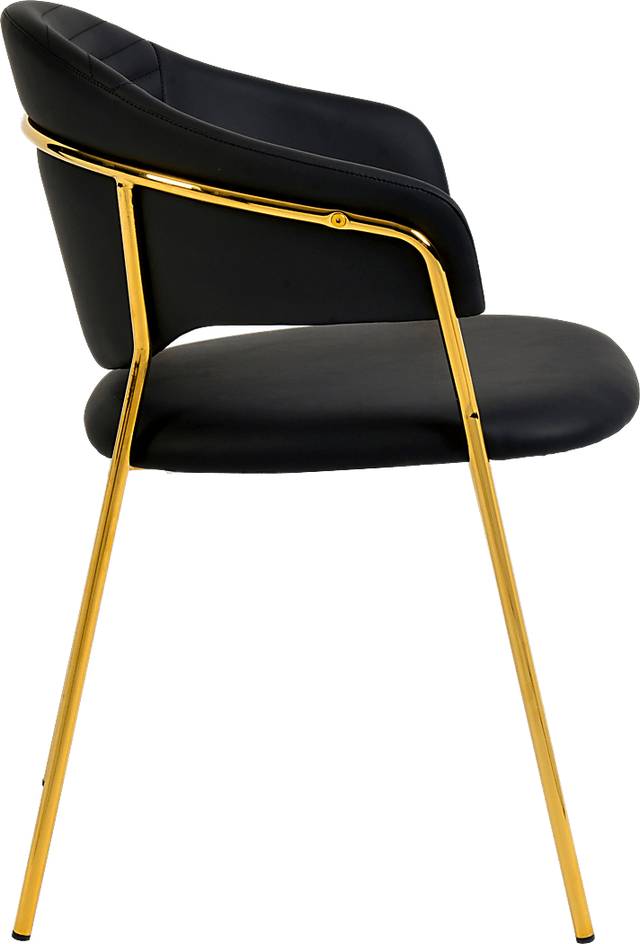 Ventris Black Arm Chair, Set of 2 - Thumbnail - Image 4