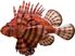 Vibrant Lion Fish Red Outdoor Wall Art