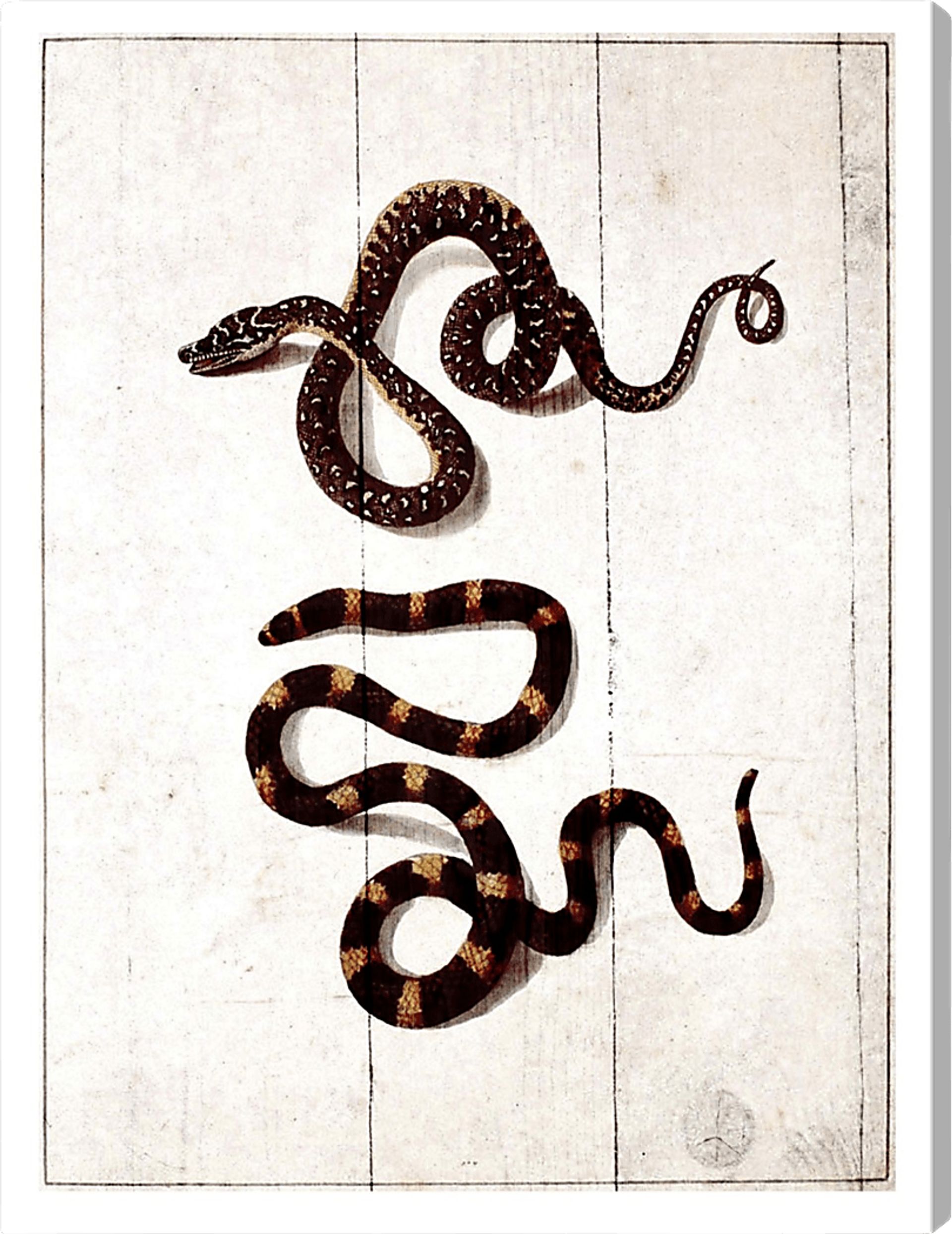 Vicious Friends White Artwork - Image 1