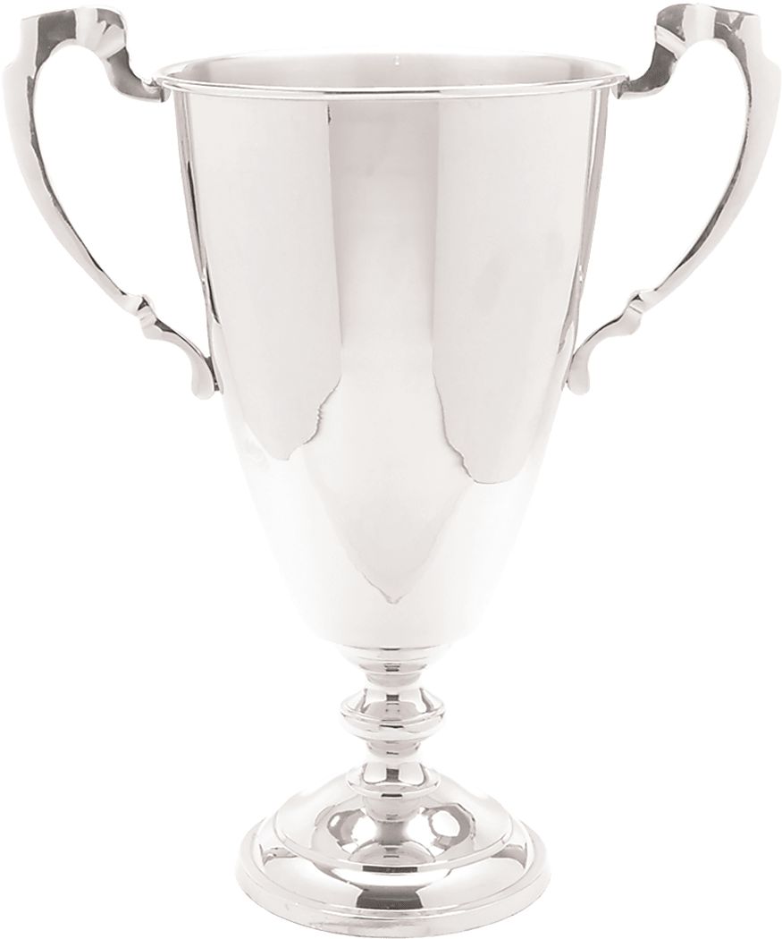 Vinetree Silver Gray Trophy | Rooms to Go