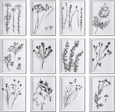 Viorella White Set of 12 Artwork