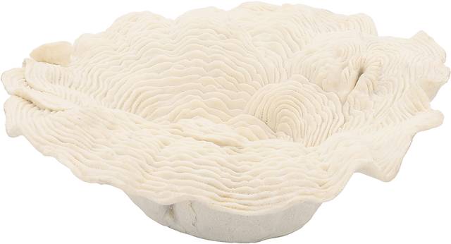 Warminster Ivory Tray - Thumbnail - Image 2