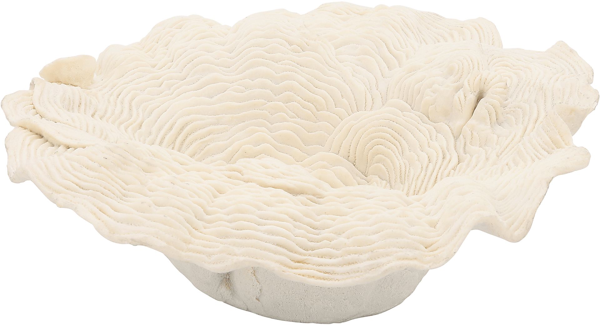 Warminster Ivory Tray - Image 2