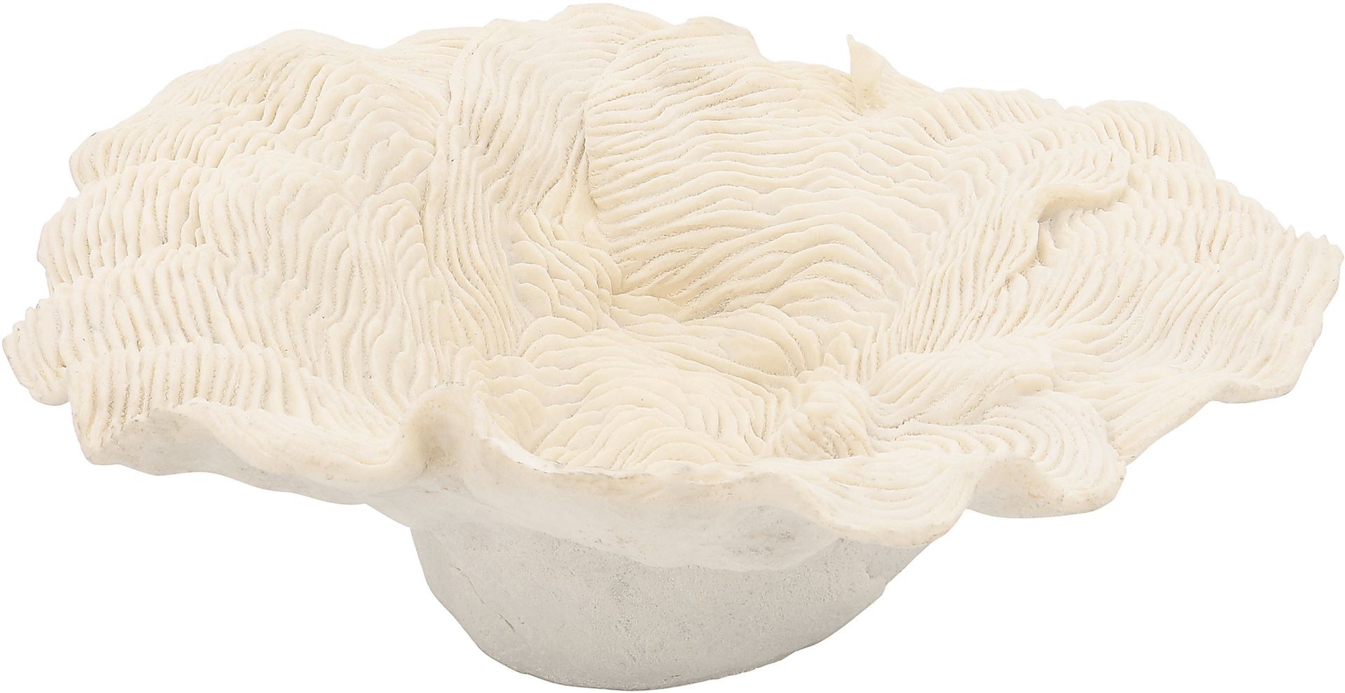 Warminster Ivory Tray - Image 3
