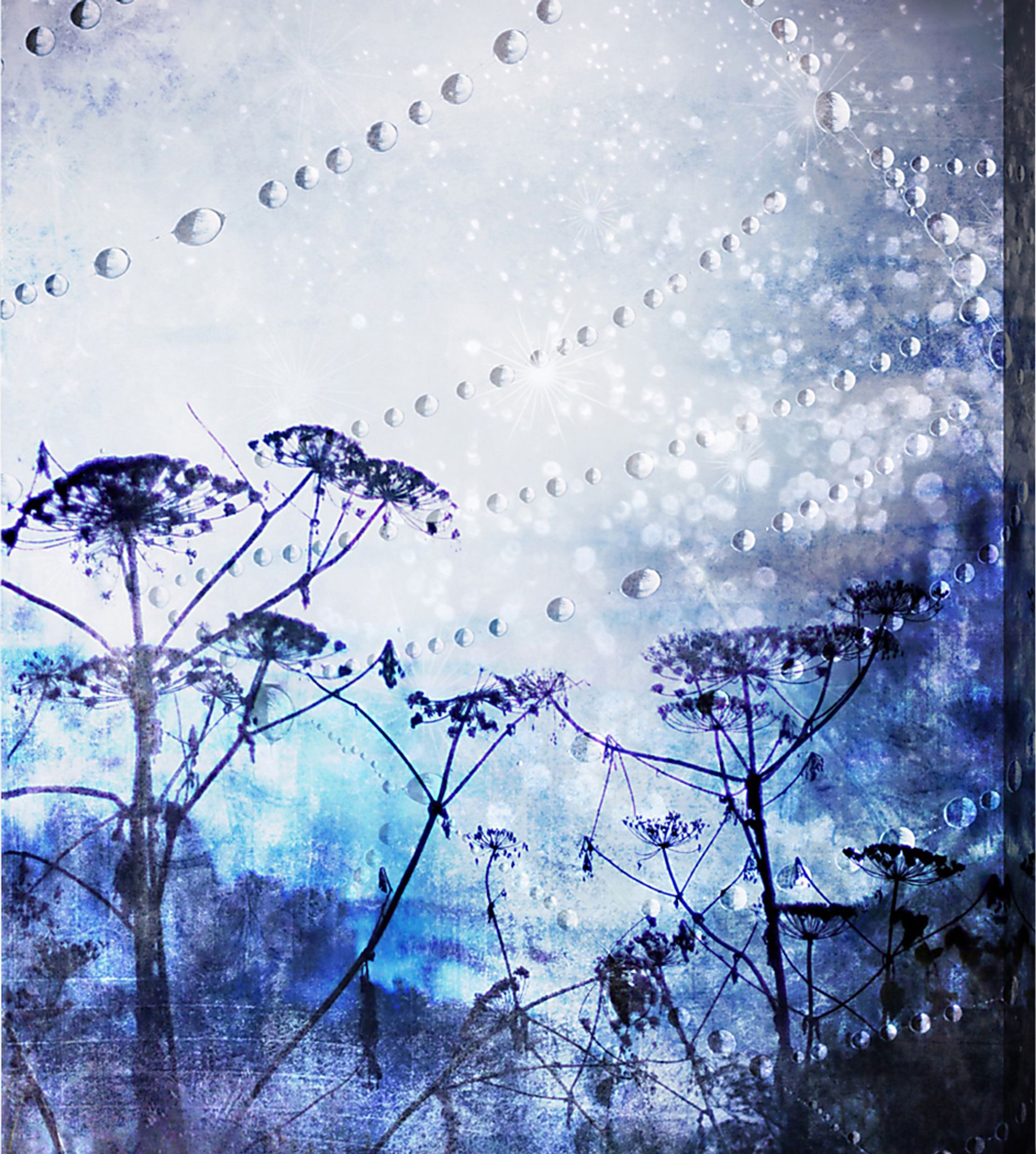 Water Droplets Purple Artwork - Image 1