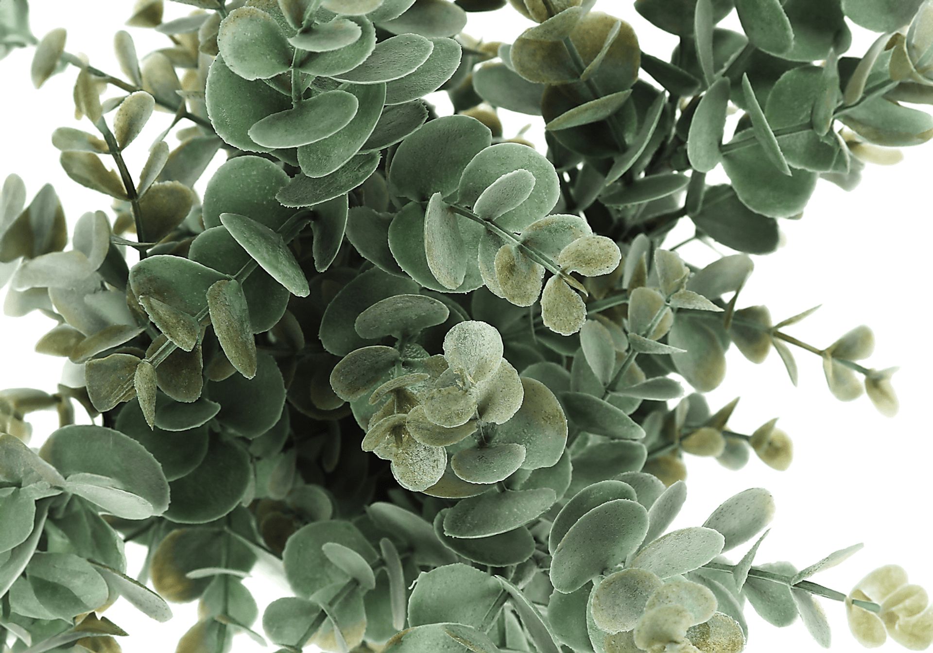 Waterberg Green Artificial Eucalyptus Plant, Set of 2 - Image 4
