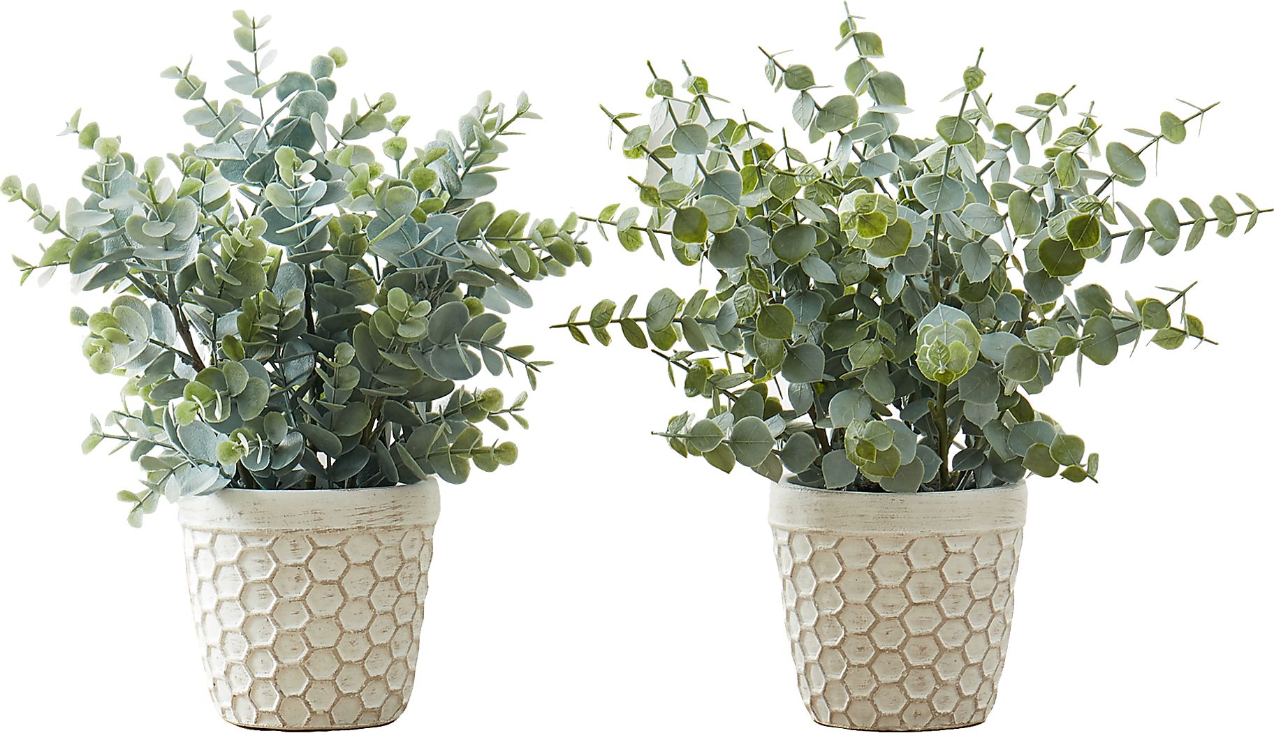 Waterberg Green Artificial Eucalyptus Plant, Set of 2