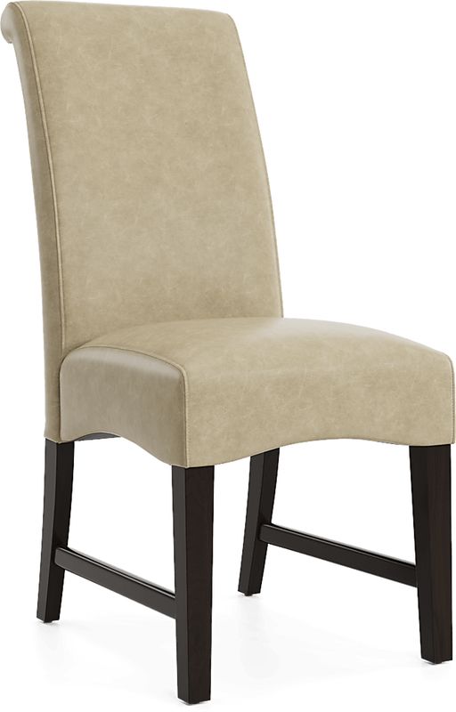 Watercolor Champagne Upholstered Side Chair