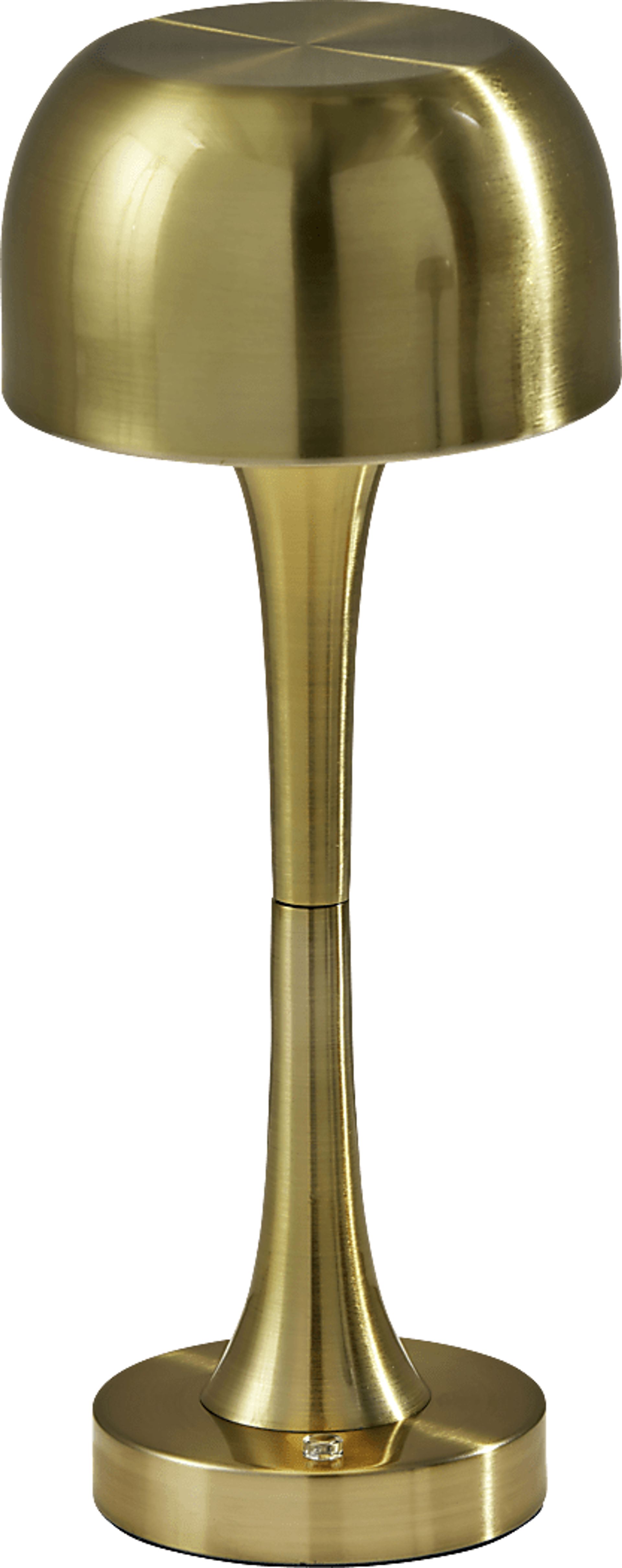 Watko Creek Brass Lamp - Image 1