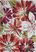 Wild Blossom Ivory 8' x 10'6 Rug