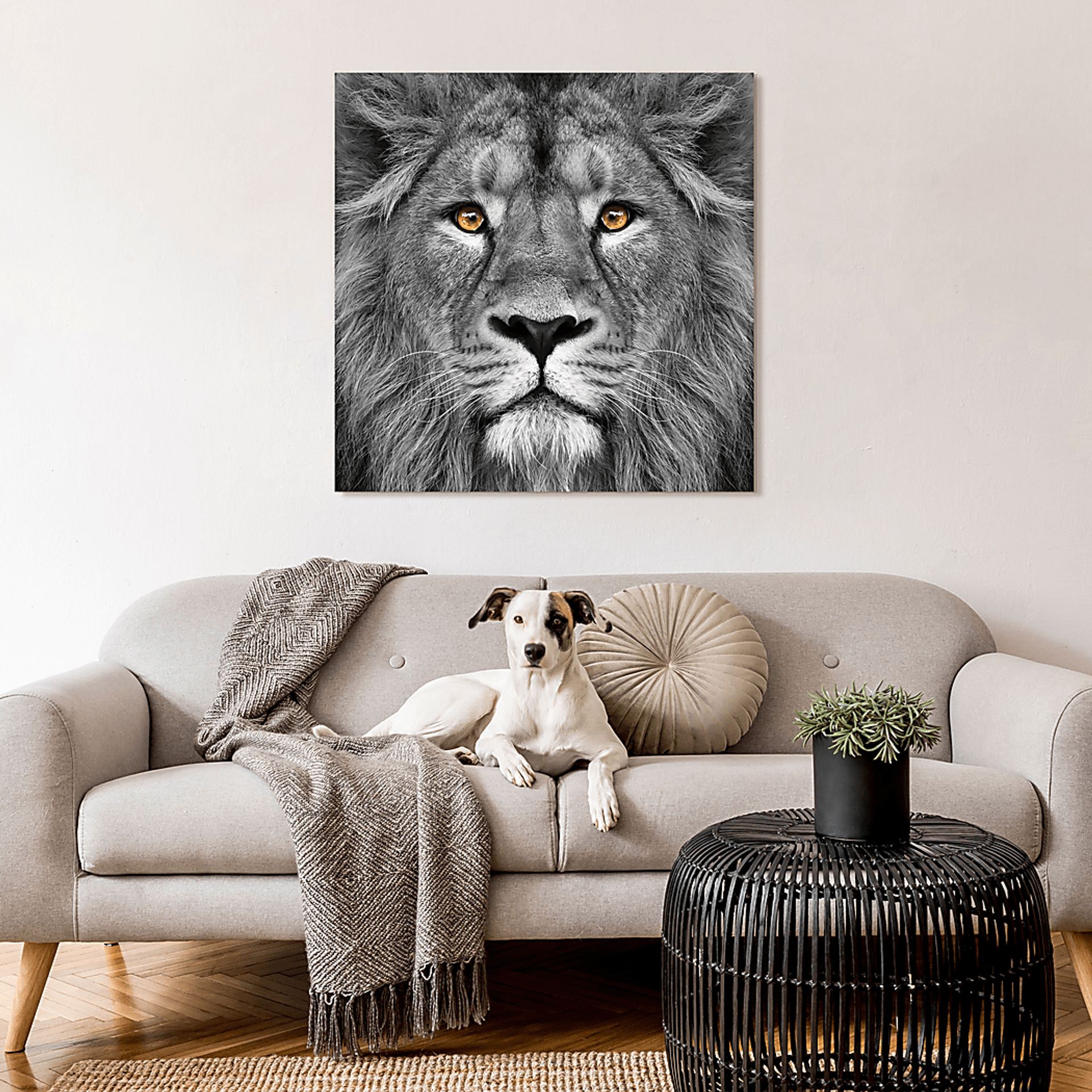 Wild Ruler Artwork - Image 4