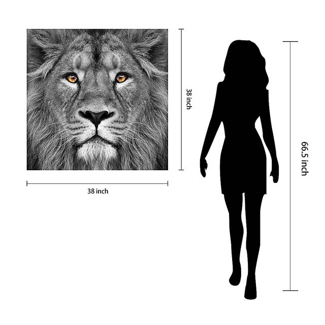 Wild Ruler Artwork - Thumbnail - Image 7