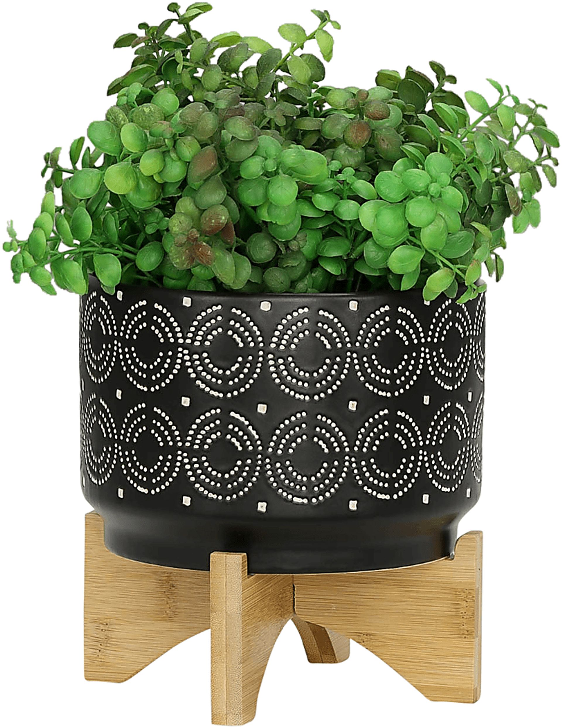 Wilshyre Black Planter - Image 5