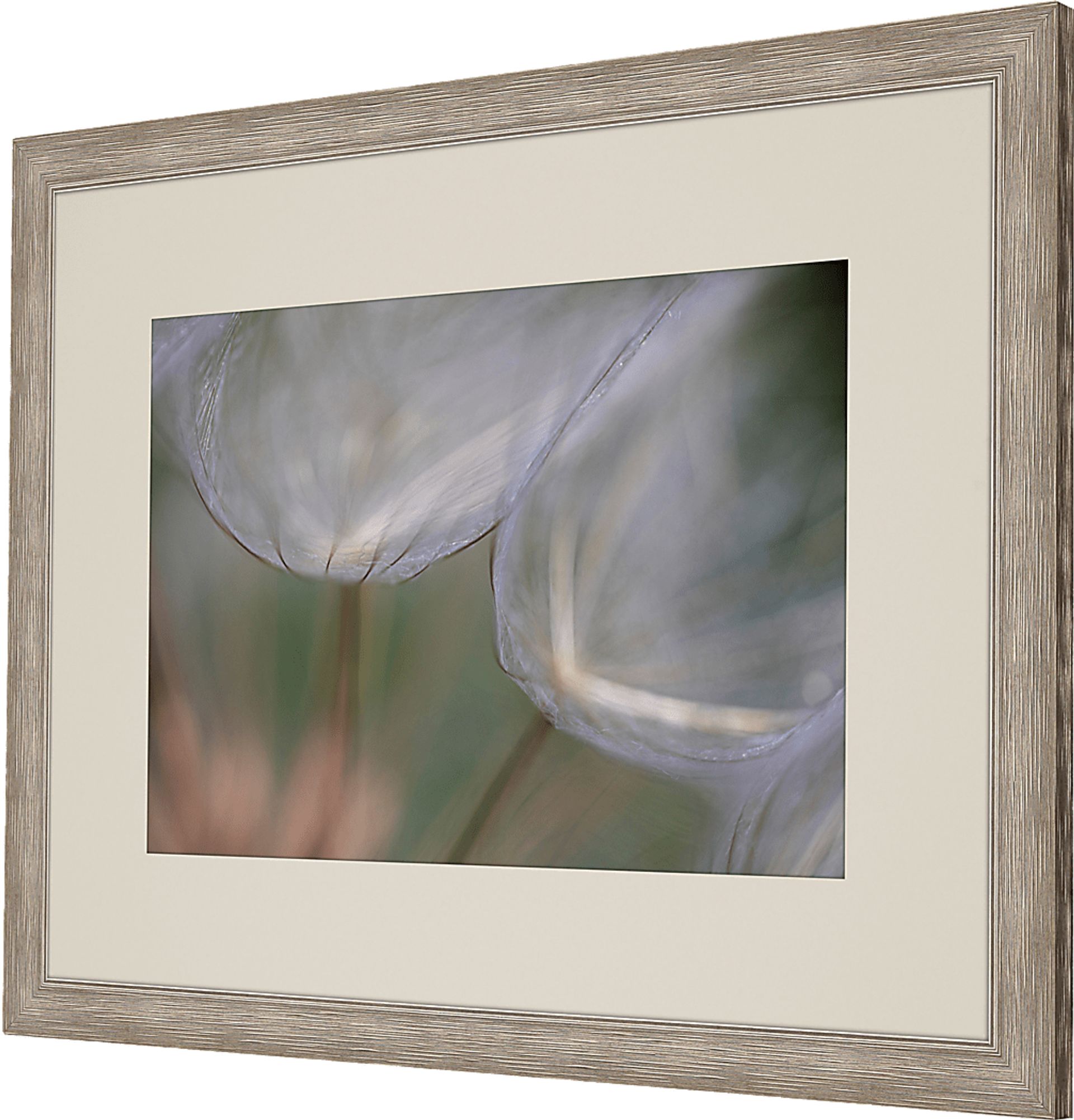Winded White Framed Artwork - Image 3