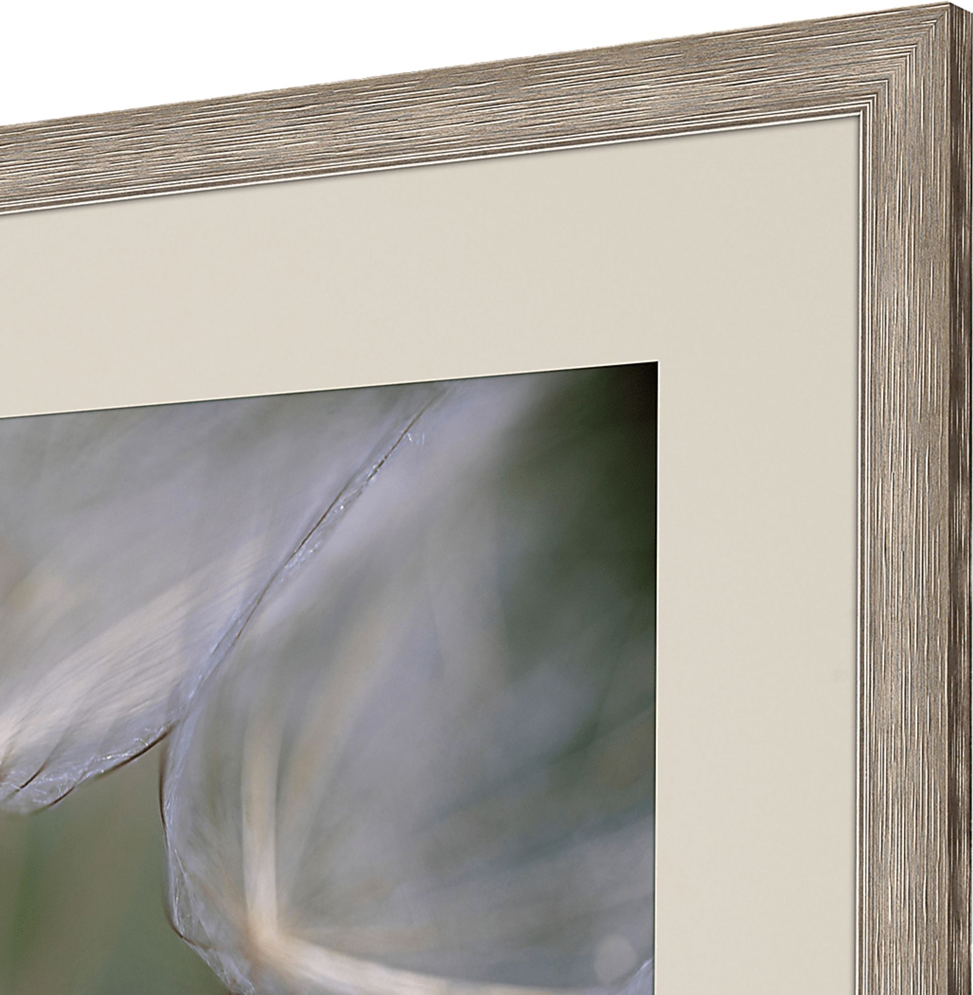 Winded White Framed Artwork - Image 4