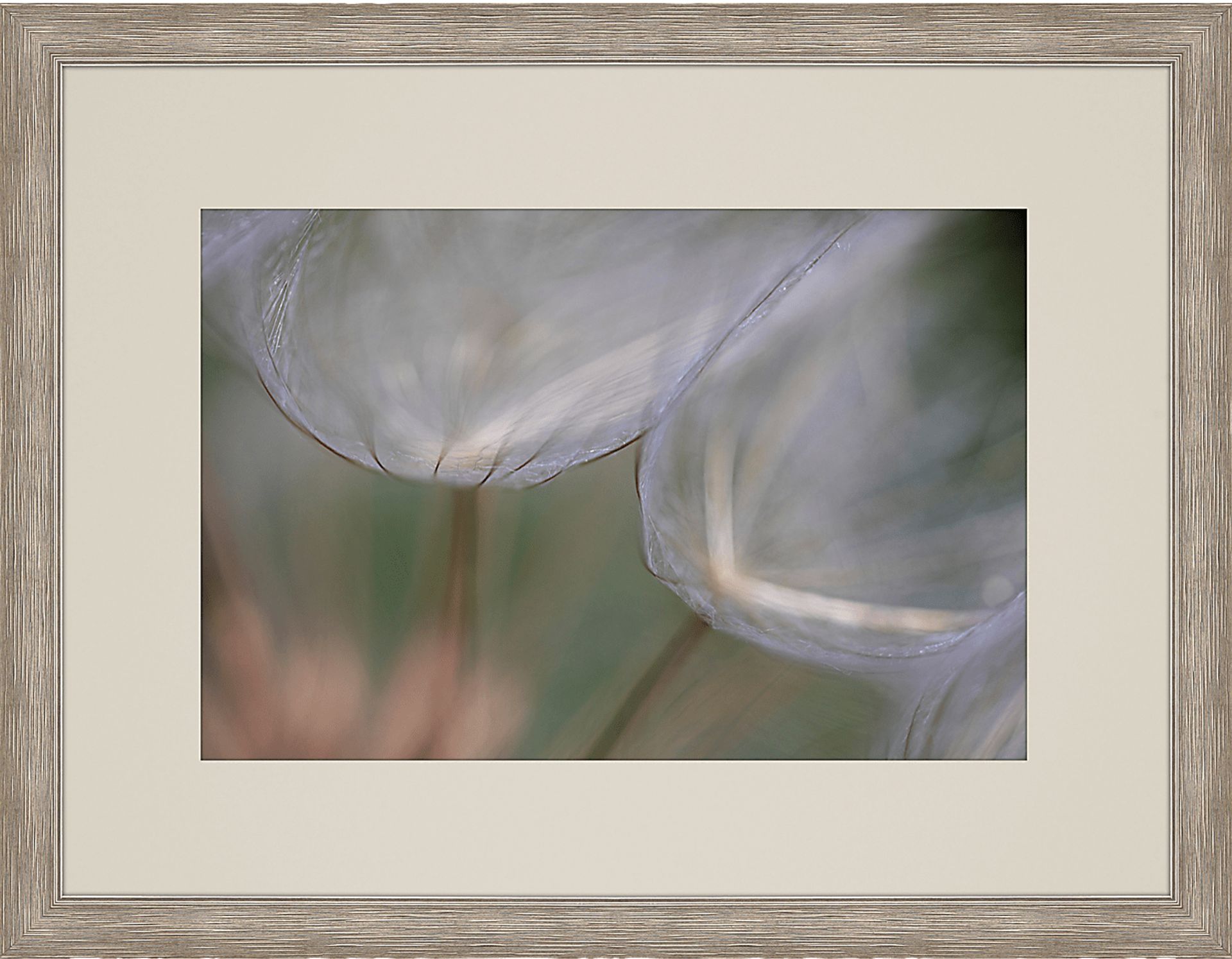 Winded White Framed Artwork - Image 1