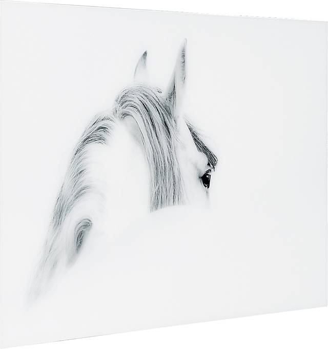 Winter Stare Artwork - Thumbnail - Image 2