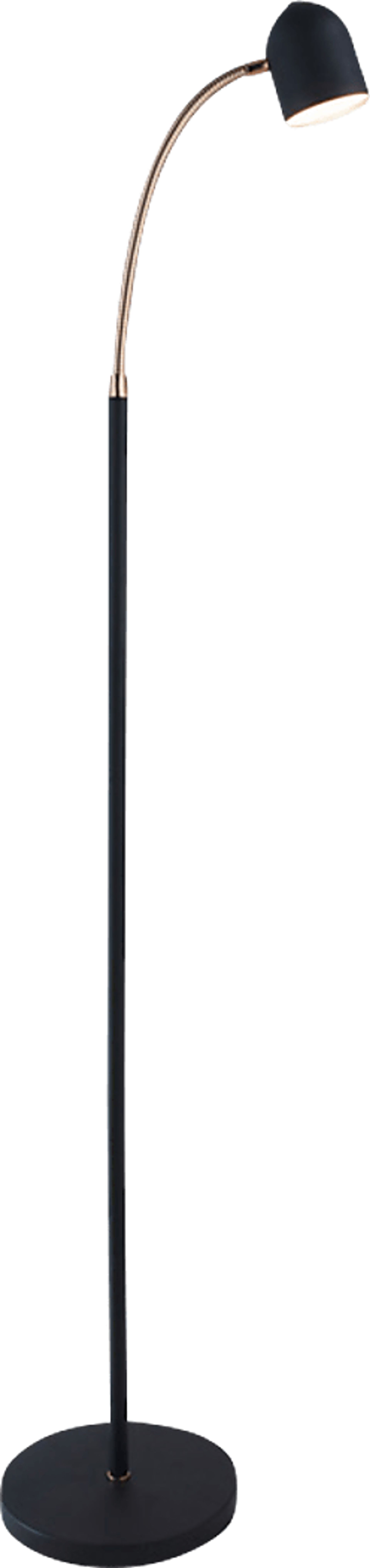 Woodrow Cave Black Floor Lamp - Image 1