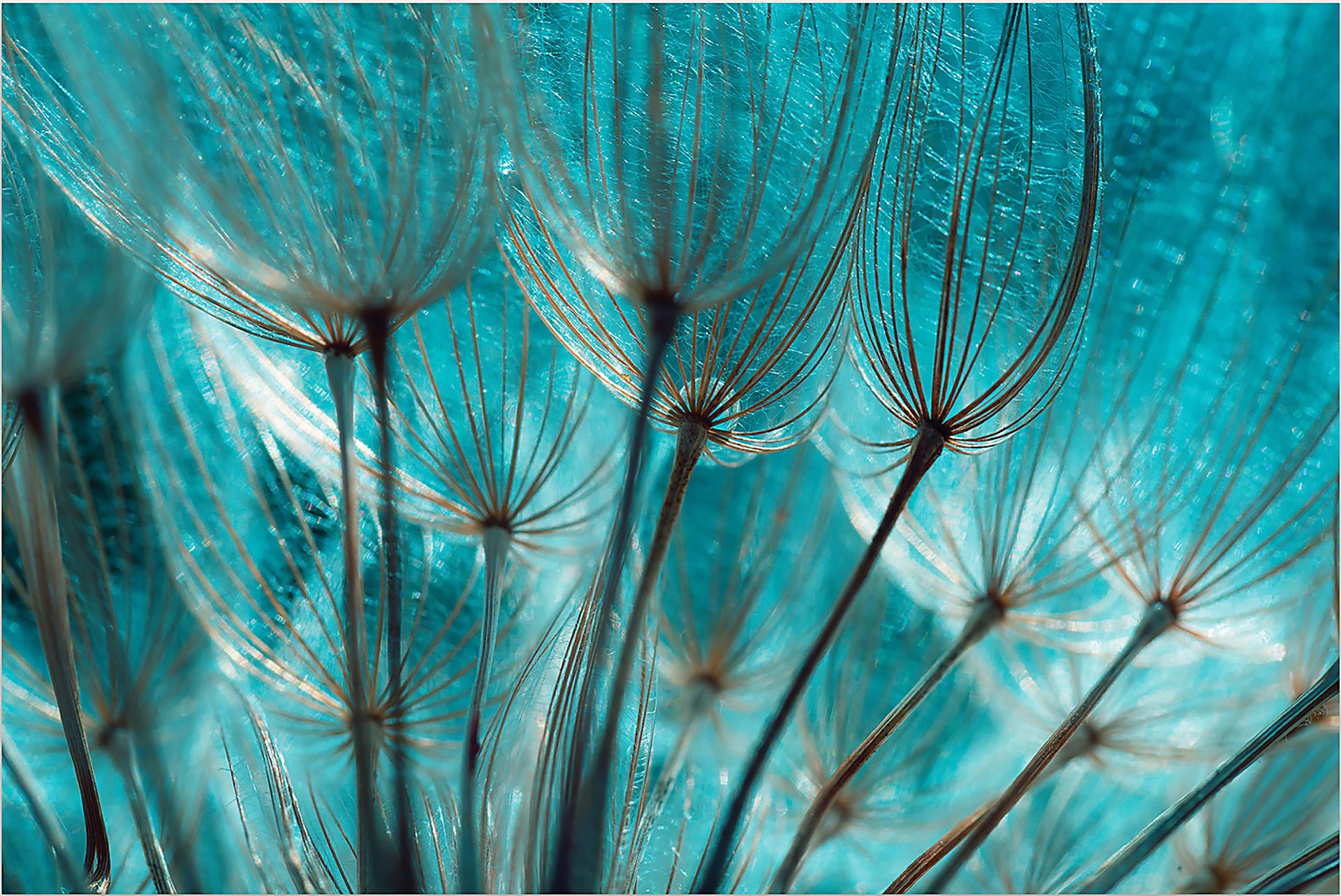 Wymas Blue Artwork - Image 1