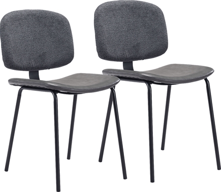 Xenodice Gray Side Chair, Set of 2